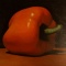 TOBY BOOTHMAN * ORANGE PEPPER * Oil on Canvas 40x40