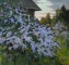 ALEXANDER KREMER * LILAC * Oil on Canvas 76x80