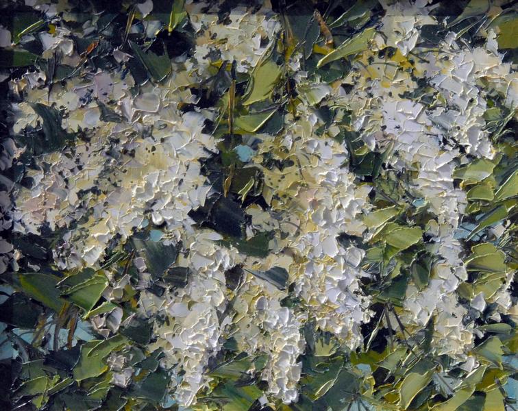 OLGA MALKOVA * WHITE LILAC * Oil on Canvas 40x50